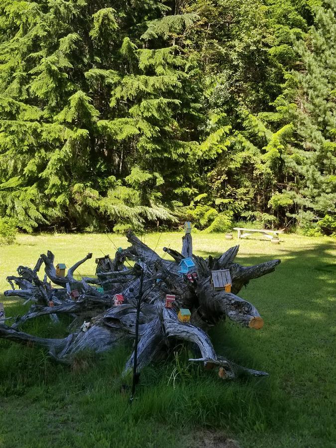 Mulvehill Creek Wilderness Inn And Wedding Chapel 레벨스톡 외부 사진